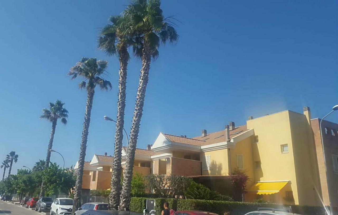Appartamento Emilia Cupra Marittima Dış mekan fotoğraf